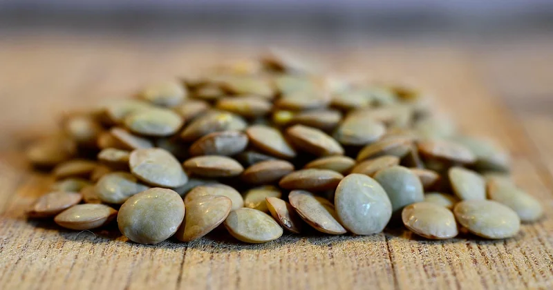 Lentilles vertes ou corail : quelle différence pour le burger ?